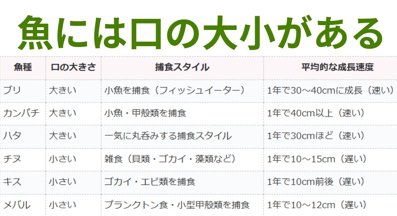 魚には口の大きさがあり、これらは成長速度と関係している。釣太郎
