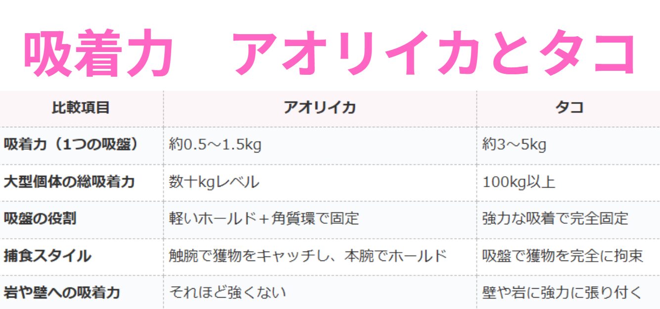 アオリイカとタコの吸着力の違い説明。釣太郎