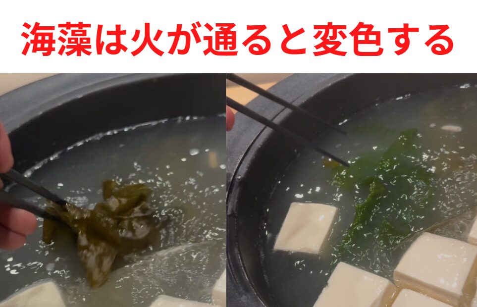 海藻が加熱で色が変わる理由説明。釣太郎