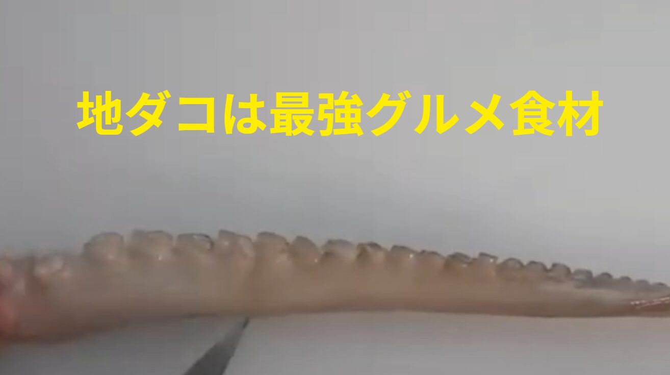 地ダコは「美味しくない」と言う人がいないレベルの絶品食材！釣太郎