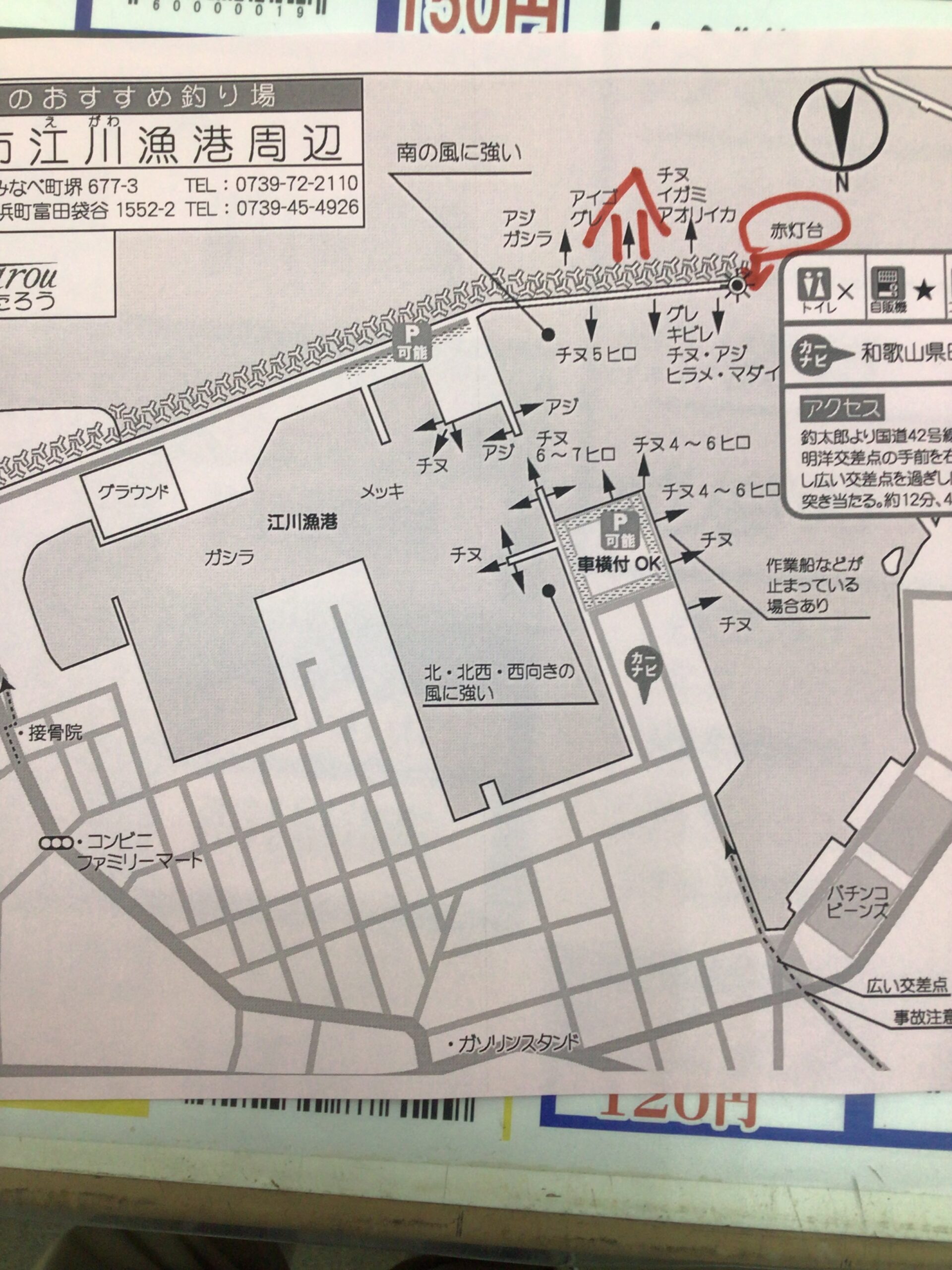 今シーズン初の年なしチヌ釣果。釣太郎