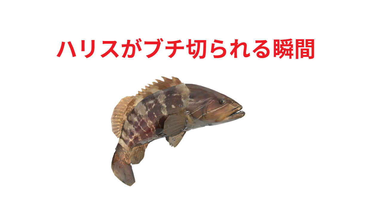 ハリスがブチ切られた魚は何か?釣太郎