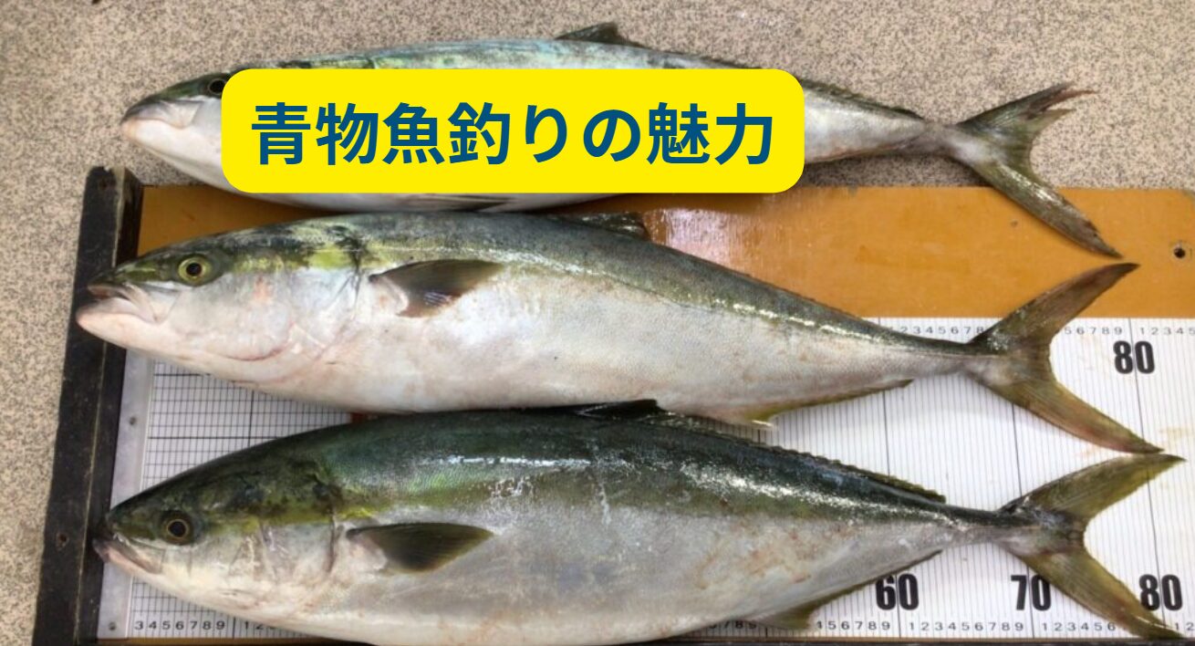 青物釣りはボウズも多い？それでも楽しい理由と南紀地方の魅力。釣太郎