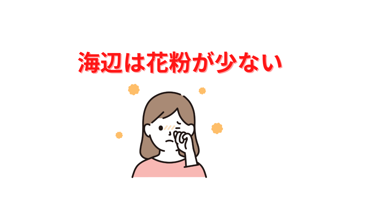 海辺は花粉が少ない。花粉症対策紹介。釣太郎