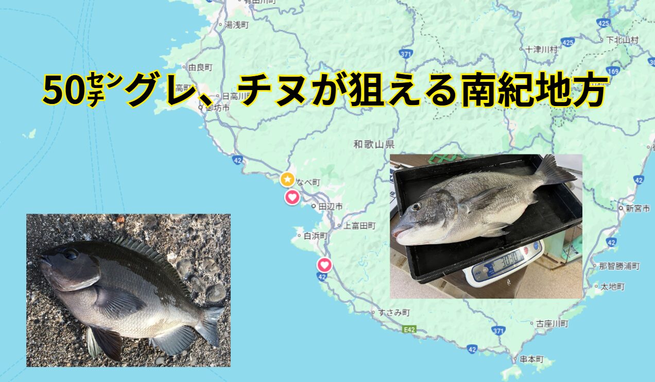 和歌山南紀地方は、日本でも有名な釣りスポットであり、特にグレ（メジナ）やチヌ（黒鯛）の釣りが人気です。釣太郎