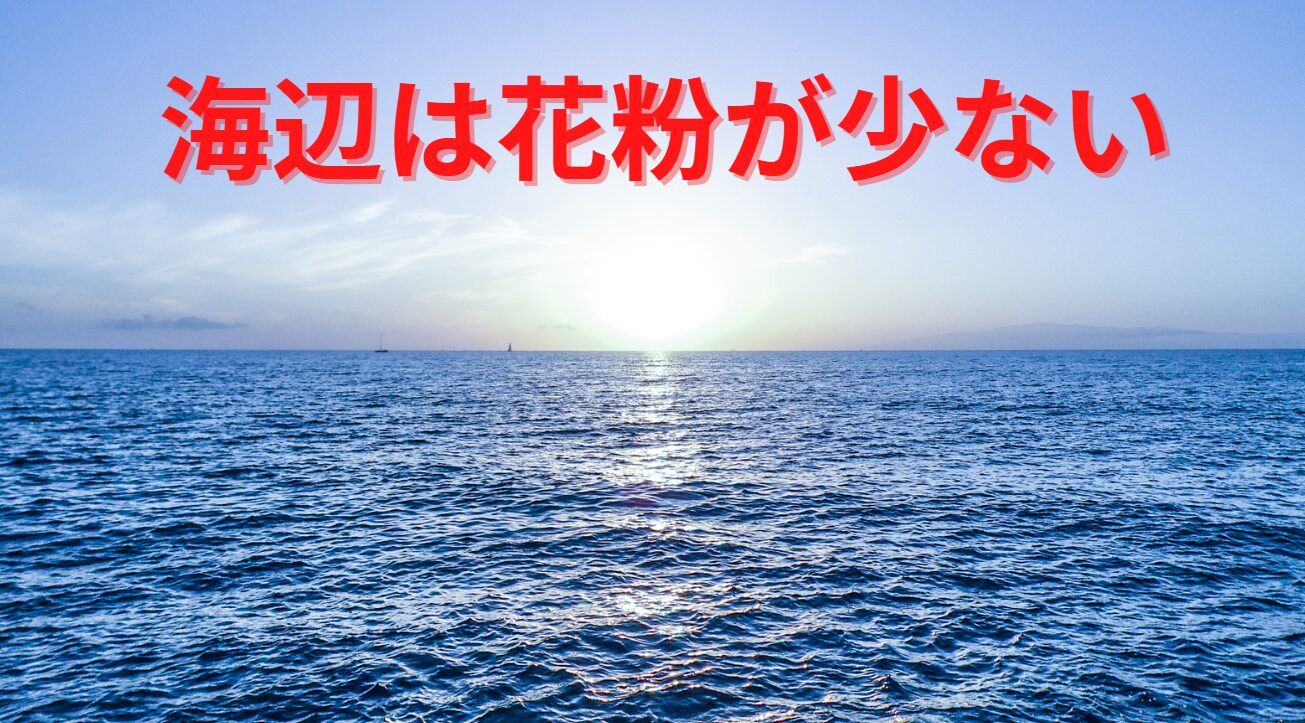 海場は花粉が少ないので、花粉症に苦しむ方にお勧め。釣太郎