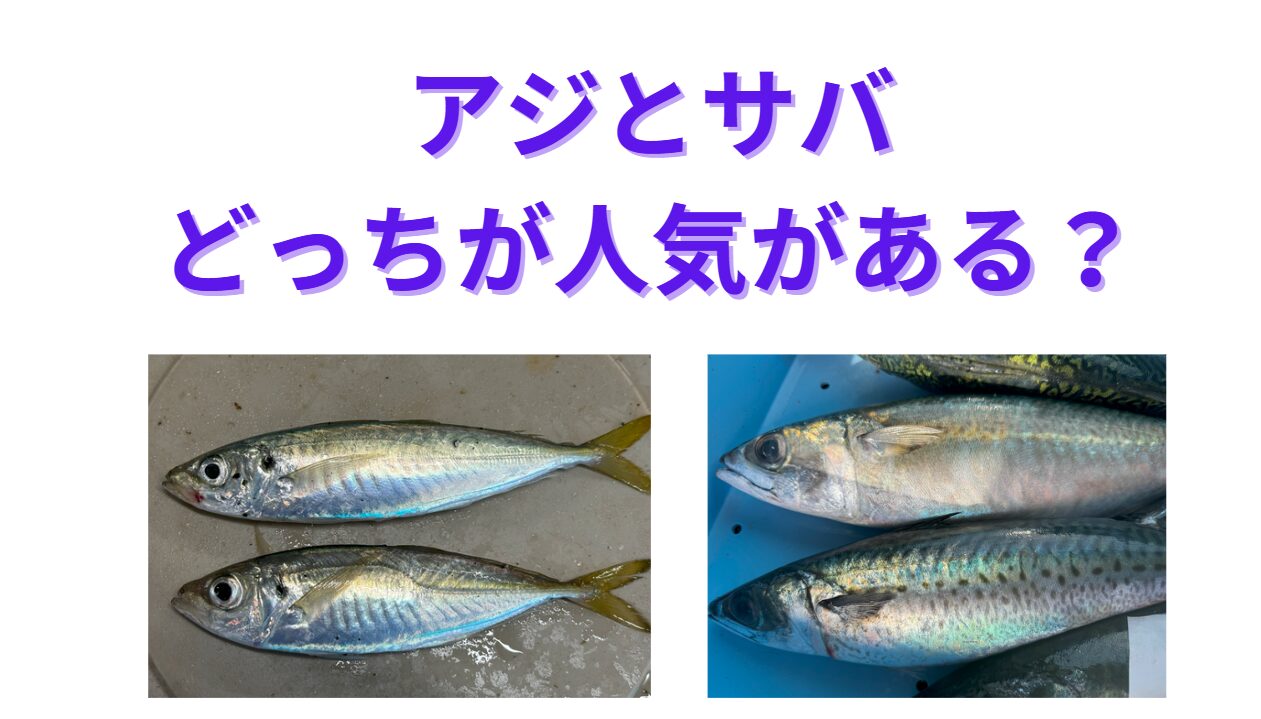 アジとサバ、人気があるのはどっちの魚?釣太郎
