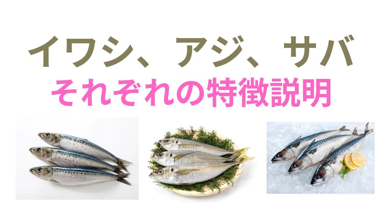 日本の食卓に欠かせない「イワシ・サバ・アジ」。釣太郎