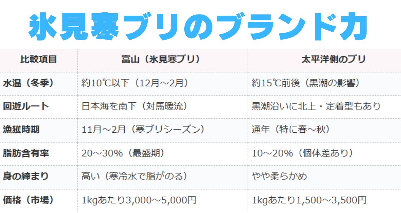 ブランドの氷見寒ブリと一般ブリの違い。釣太郎