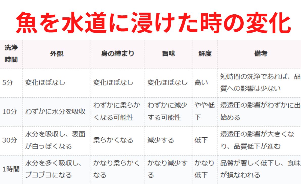 真鯛1キロを真水に浸けた場合、5分と30分では身の品質が大きく異なる。釣太郎