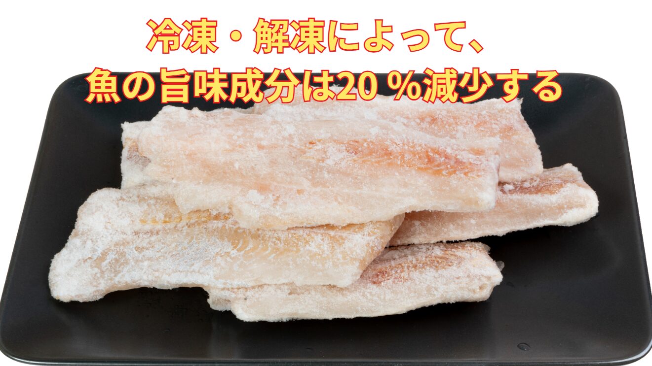 冷凍・解凍によって、魚の旨味成分(イノシン酸・グルタミン酸 など)が 10~30%程度 減少する。釣太郎
