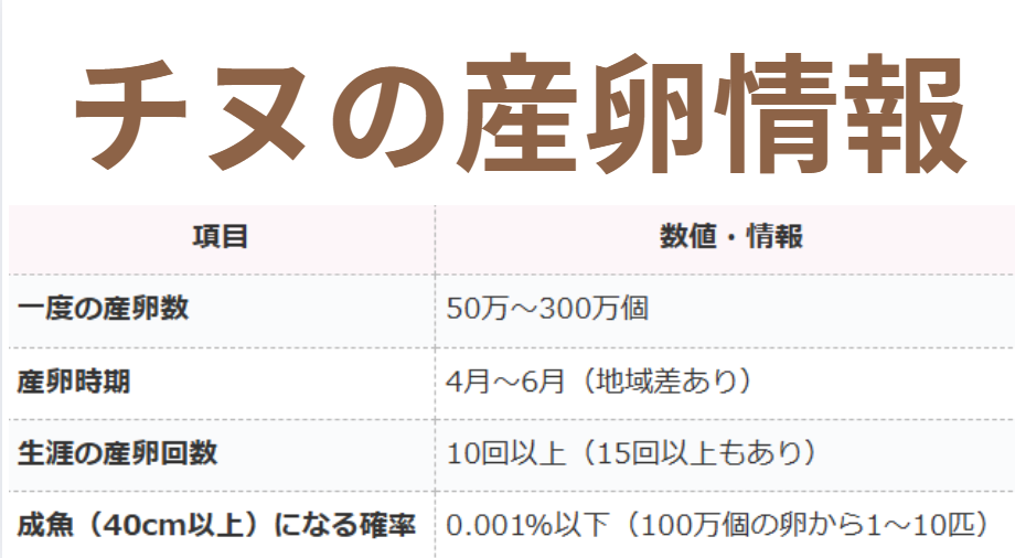 チヌ（黒鯛）の産卵情報。紀州釣り入門。釣太郎