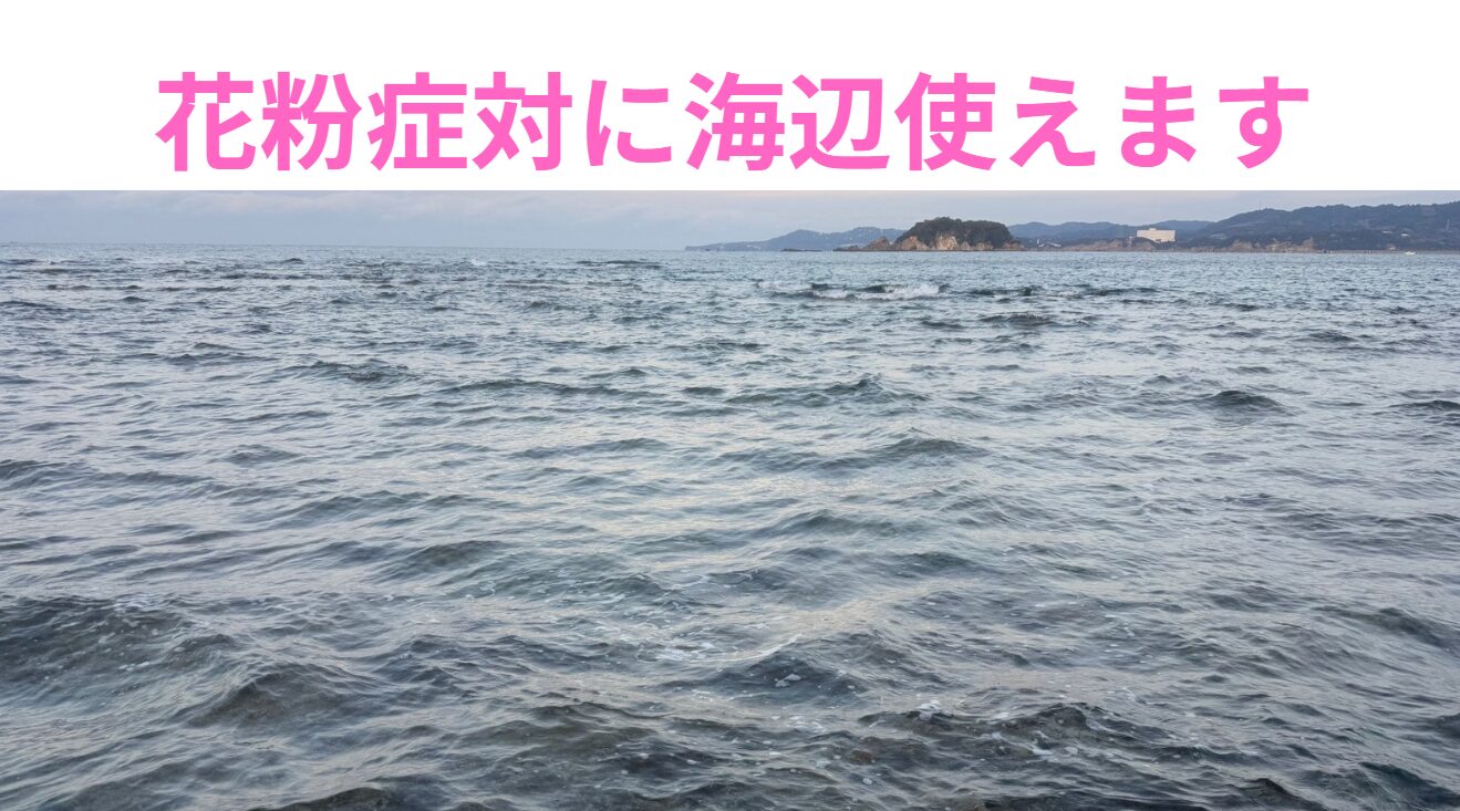 花粉症対に海辺活用しませんか？釣太郎