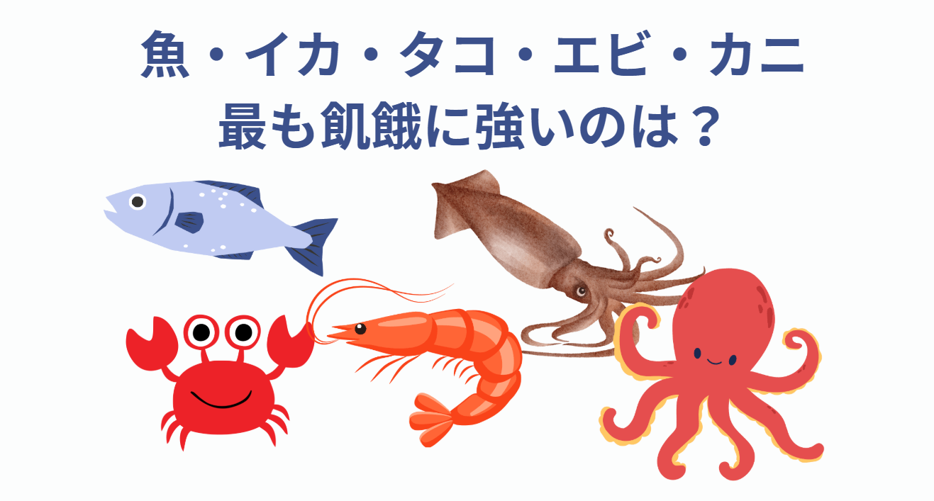 「魚・イカ・タコ・エビ・カニの中で、最も飢餓に強いのはどれか?」釣太郎