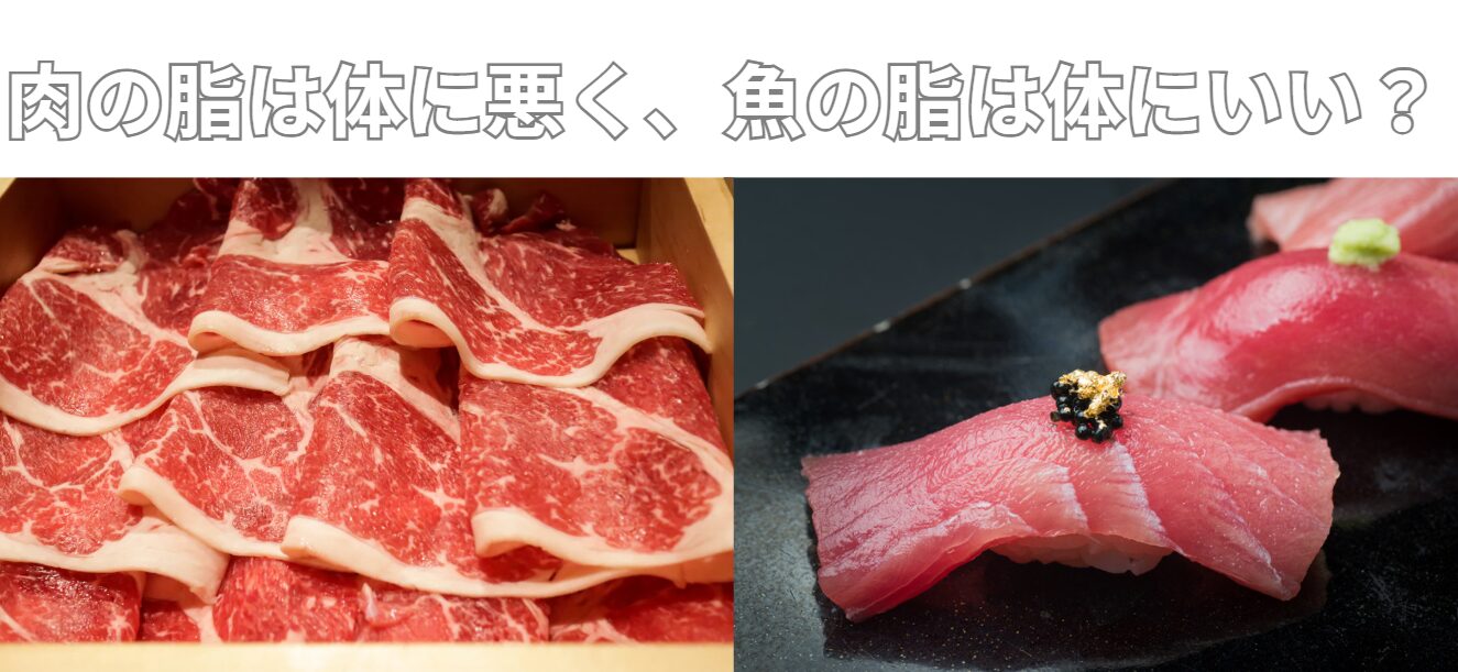 肉の脂は体に悪く、魚の脂は体にいい？釣太郎