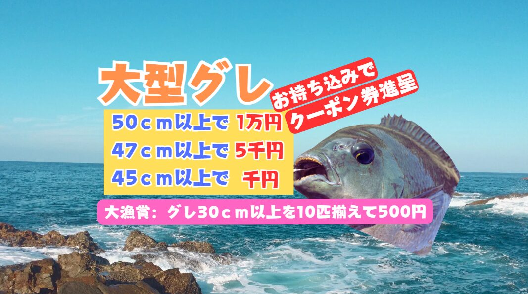 寒グレ釣りシーズンはまだまだ続きます。釣太郎