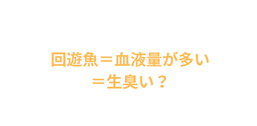 回遊魚＝血液量が多い＝生臭い？これは真実か？釣太郎