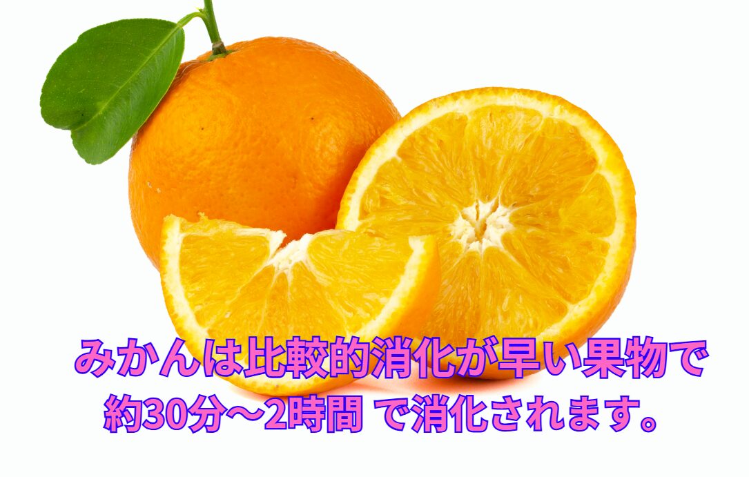 みかんは比較的消化が早い果物で、約30分〜2時間 で消化されます。釣太郎