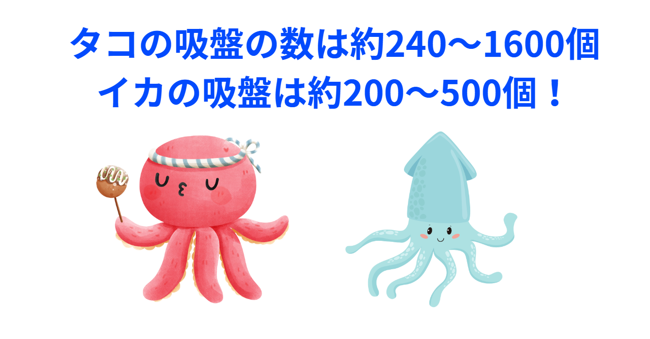 タコとイカの吸盤の数と吸引力の違い。釣太郎