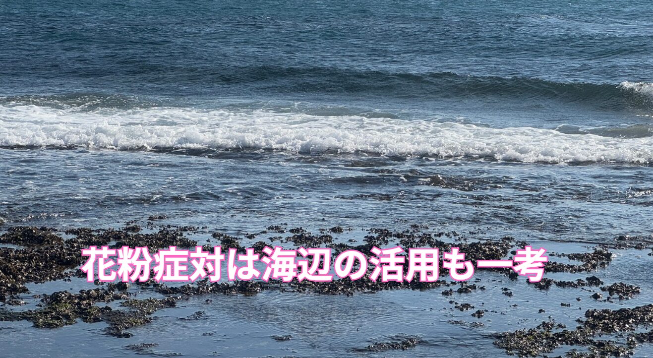 海辺は花粉が少なく、症状が軽減しやすい環境。釣太郎
