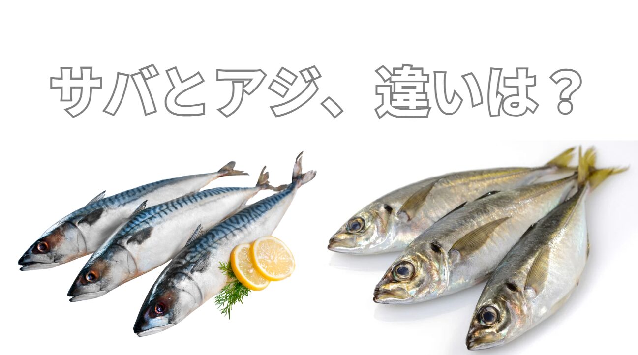 サバとアジ、共に食卓の代表魚だが、何が違う？アジの方が人気が高い？流通量は？価格は？釣太郎