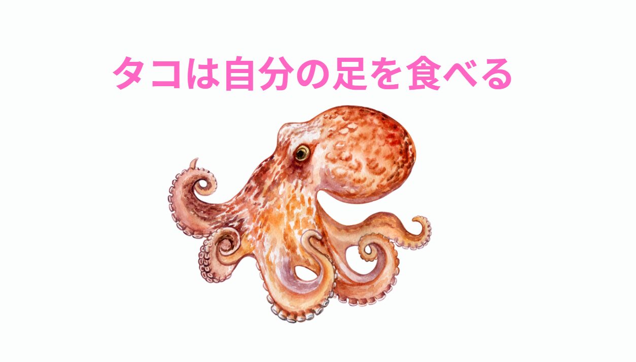 タコが自分の足を食べる理由。釣太郎