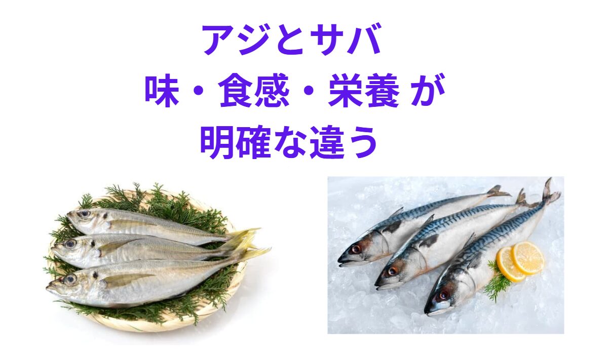 アジとサバはどちらも日本の食卓に馴染み深い魚ですが、 味・食感・栄養・調理法 において、明確な違いがあります。釣太郎