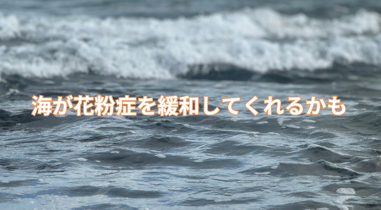 海辺に出れば、花粉症が楽になる可能性があります。釣太郎
