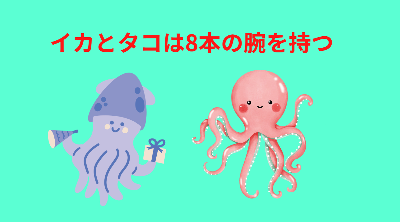 タコは8本の腕のみ、イカは8本の腕＋2本の触腕を持つ。釣太郎