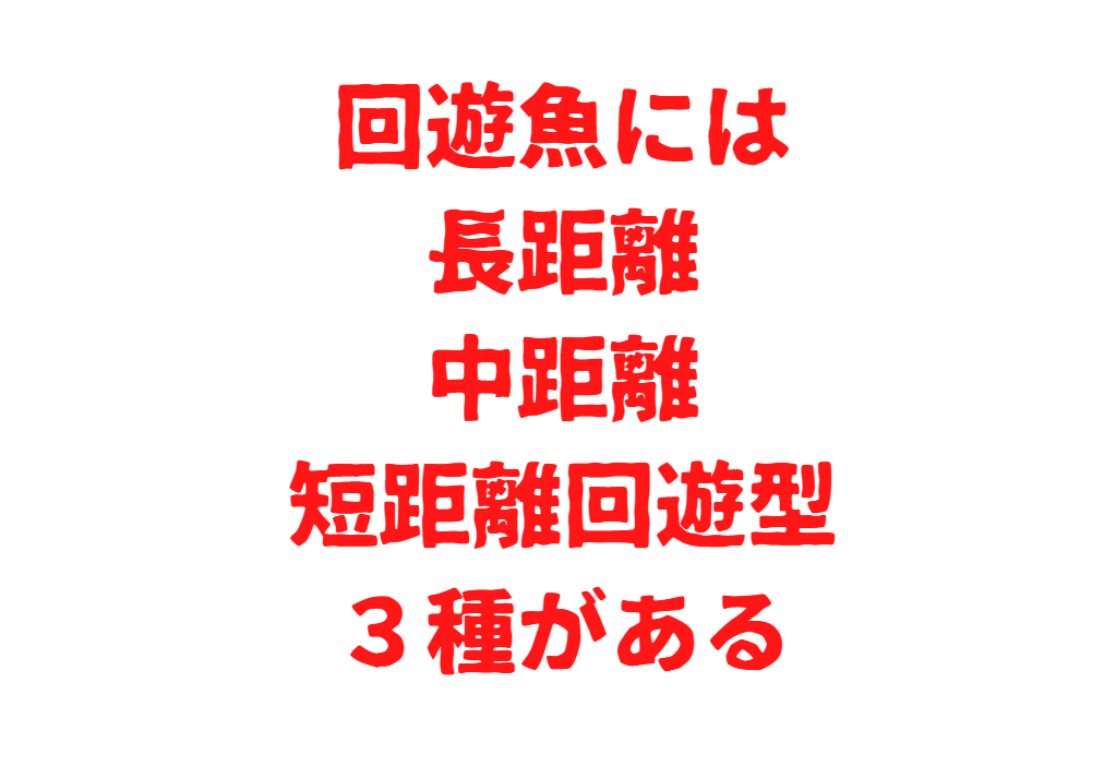 回遊魚には 長距離回遊魚（数千km以上の移動）、 中距離回遊魚（数百km程度の移動）、 短距離回遊魚（沿岸部を中心に回遊）の３つがある。釣太郎