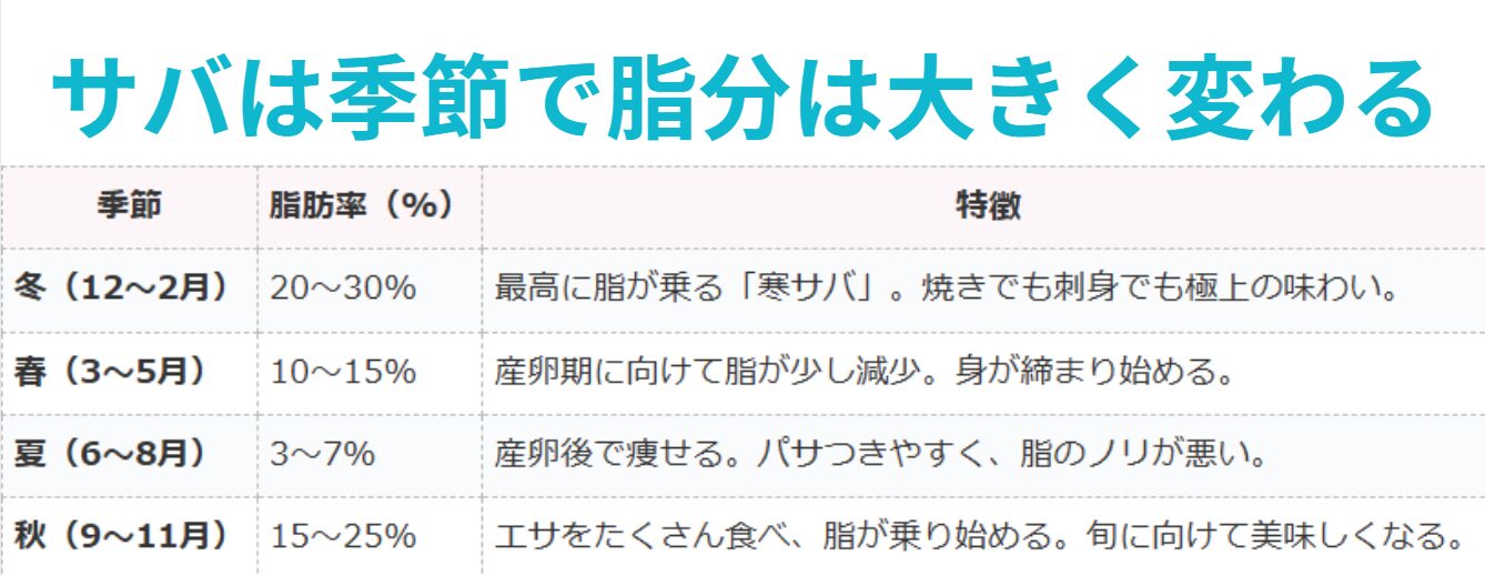 脂分が多いサバは、季節により大きく変化する。釣太郎