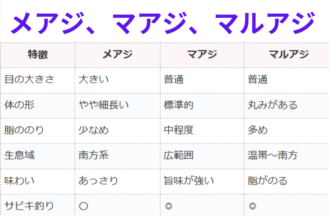 メアジ、マルアジ、マアジの特徴の違い説明。釣太郎
