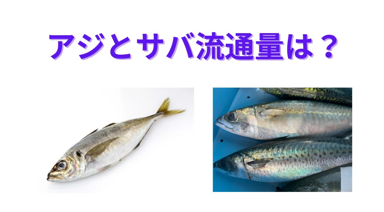 流通量（漁獲量）で見ると、サバの方が圧倒的に多く、３倍ほど。釣太郎