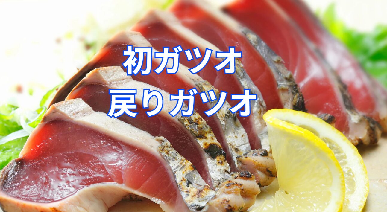 初ガツオと戻りガツオの違い説明。釣太郎