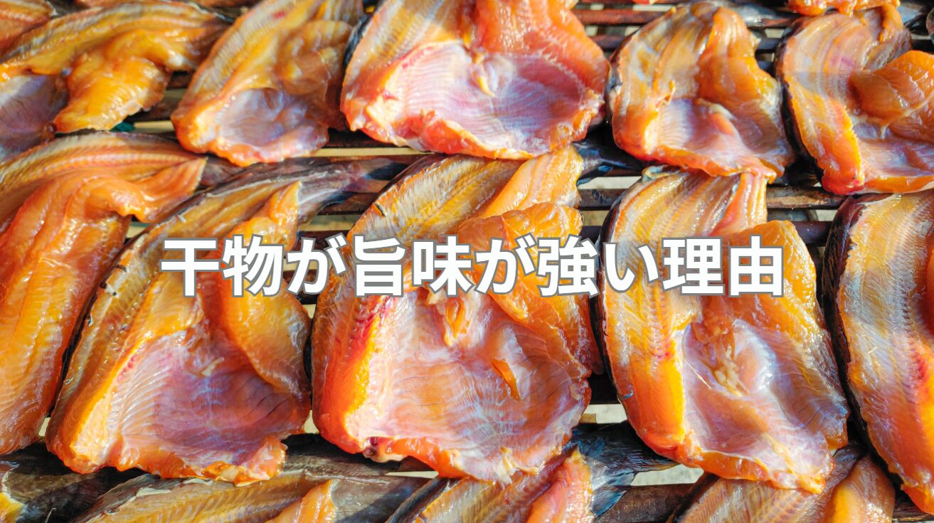 魚の干物が生より旨味が強い理由。釣太郎
