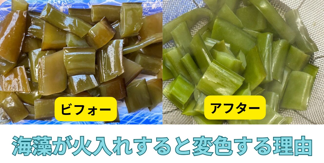 海藻が加熱によって変色する理由は、主に海藻に含まれる色素と熱による化学反応にあります。釣太郎