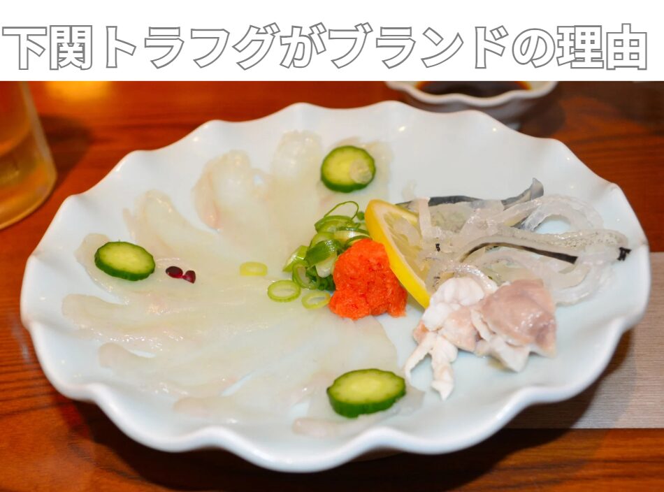 下関トラフグがブランドの理由。現在、天然と養殖どどっちが多い?釣太郎