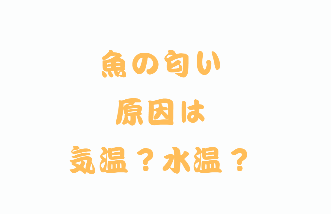 魚の匂いの元となるのは気温?水温?釣太郎