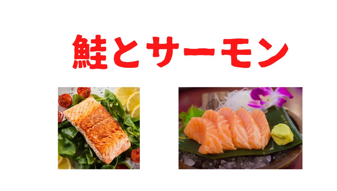 鮭は塩焼き、サーモンは刺身が定番。釣太郎