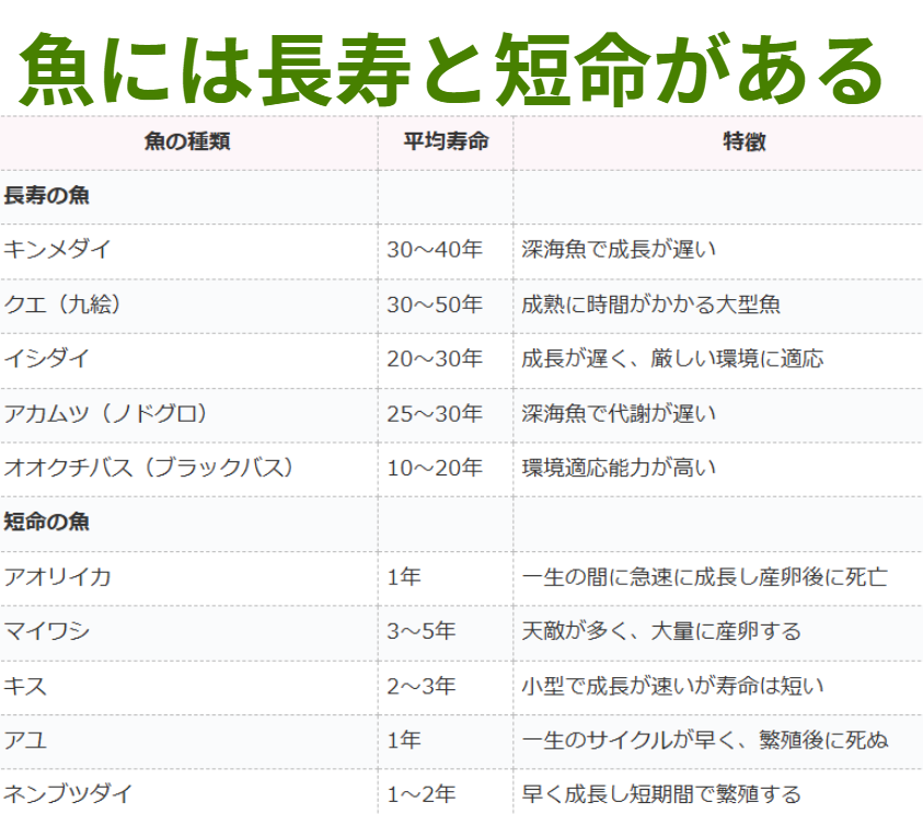魚に寿命には長短がある理由。釣太郎