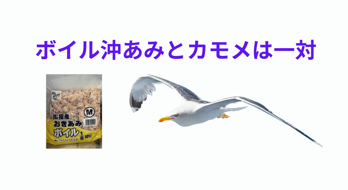 カモメがオキアミに食らいつく要因。釣太郎