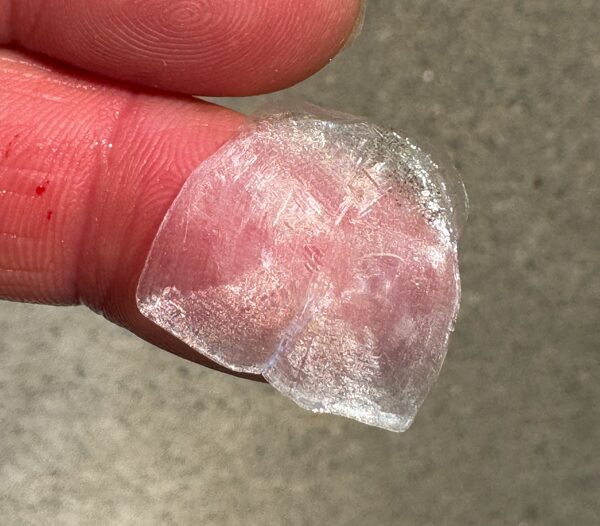 魚の鱗（うろこ）の基本的な役割説明。釣太郎