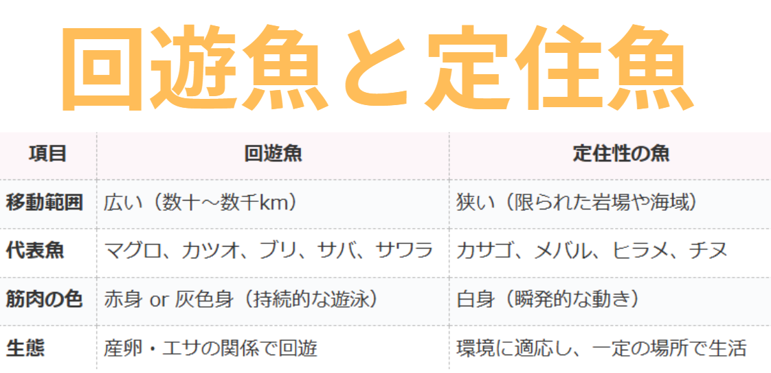 回遊魚と定住型魚の特徴説明。釣太郎