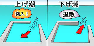 【上げ潮・下げ潮と釣りの関係】初心者向け完全ガイド！潮の流れを理解して釣果アップ！釣太郎