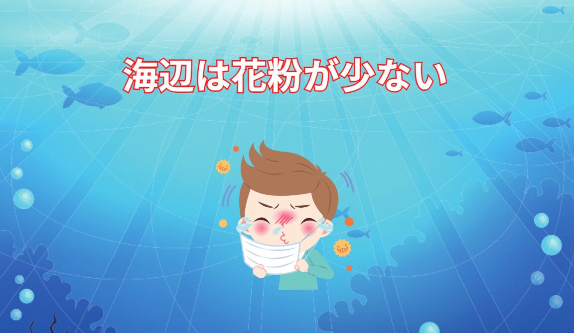 海辺は花粉が少ない。釣太郎