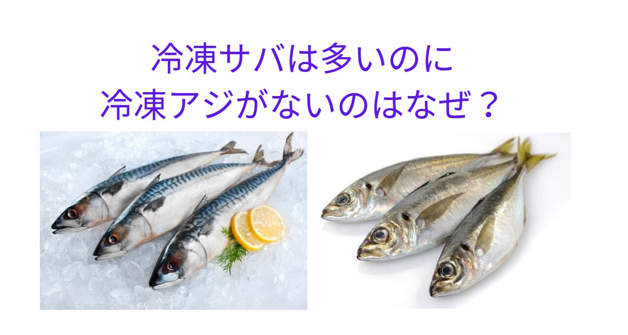 冷凍サバは定番ですが、冷凍アジを見かけることが少ない理由。釣太郎