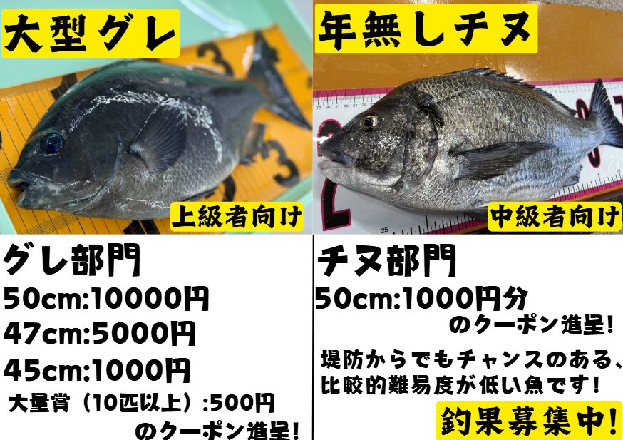 グレ、チヌ釣果持ち込み、お待ちしています。釣太郎