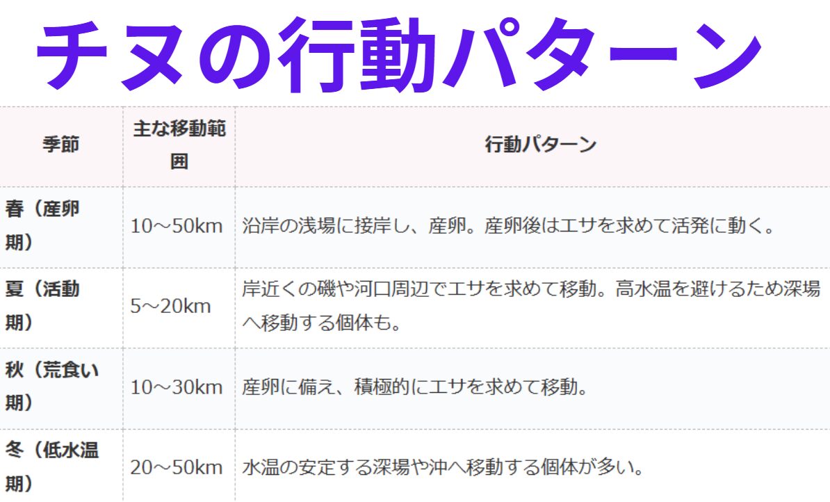 チヌ（黒鯛）の行動パターン説明。釣太郎