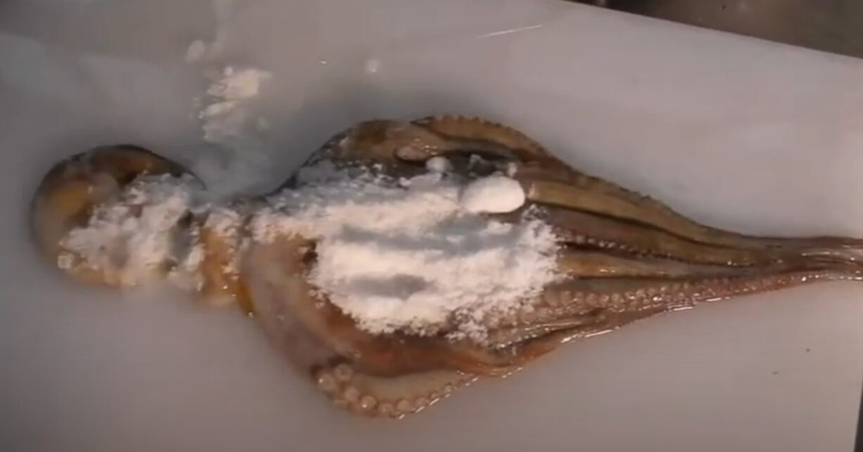 生タコの下処理における塩もみの役割。釣太郎