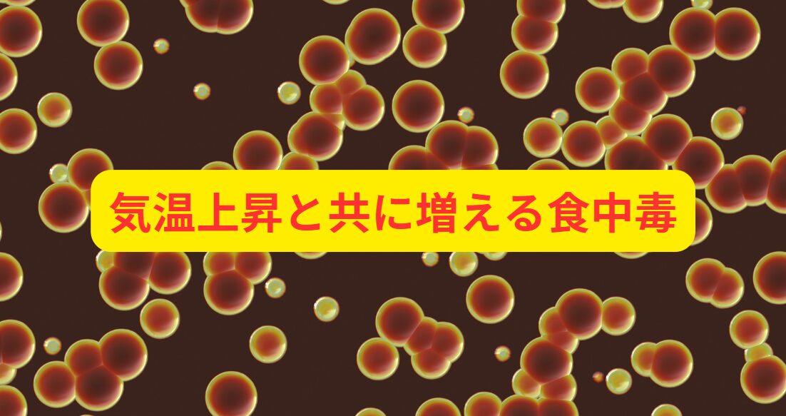 気温上昇と共に増える食中毒紹介。釣太郎